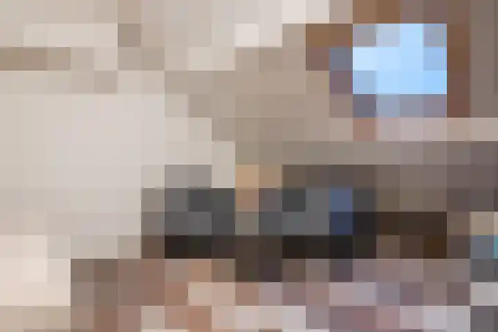 Schelft 7 Reusel thumbnail 41