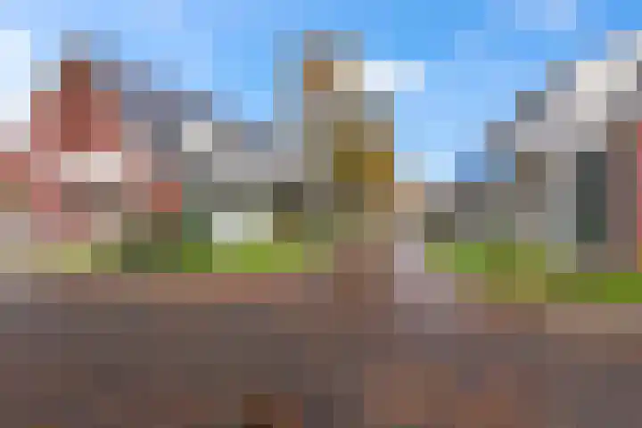 Schelft 7 Reusel thumbnail 44