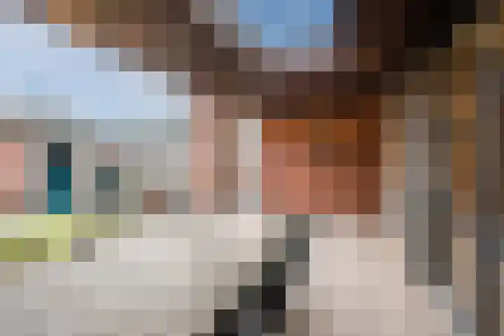 Schelft 7 Reusel thumbnail 44