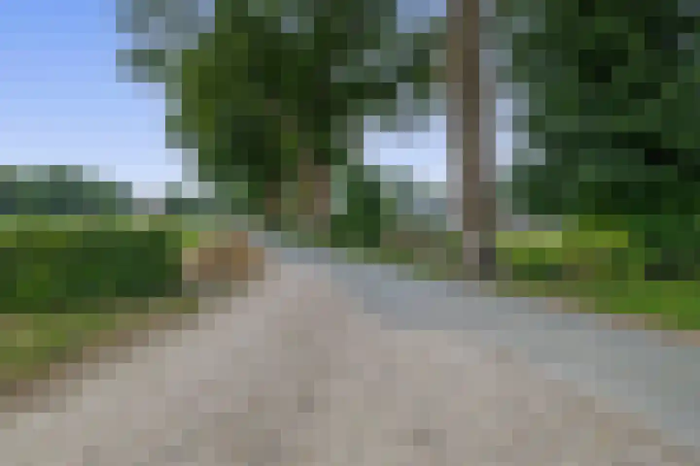Schelft 7 Reusel thumbnail 45