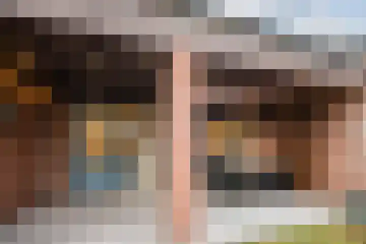Schelft 7 Reusel thumbnail 46
