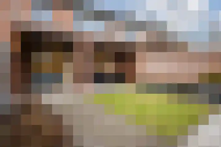Schelft 7 Reusel thumbnail 51