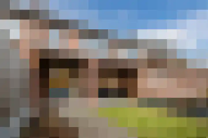 Schelft 7 Reusel thumbnail 52