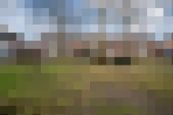 Schelft 7 Reusel thumbnail 56