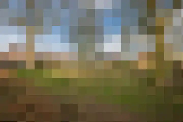 Schelft 7 Reusel thumbnail 57