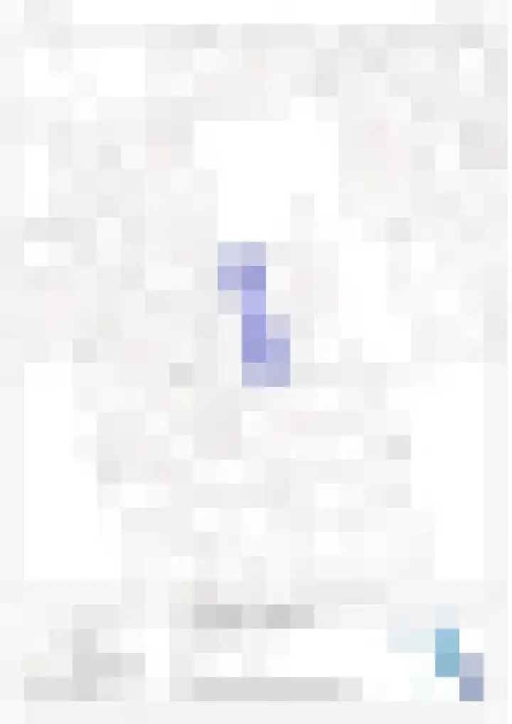 Schelft 7 Reusel thumbnail 62