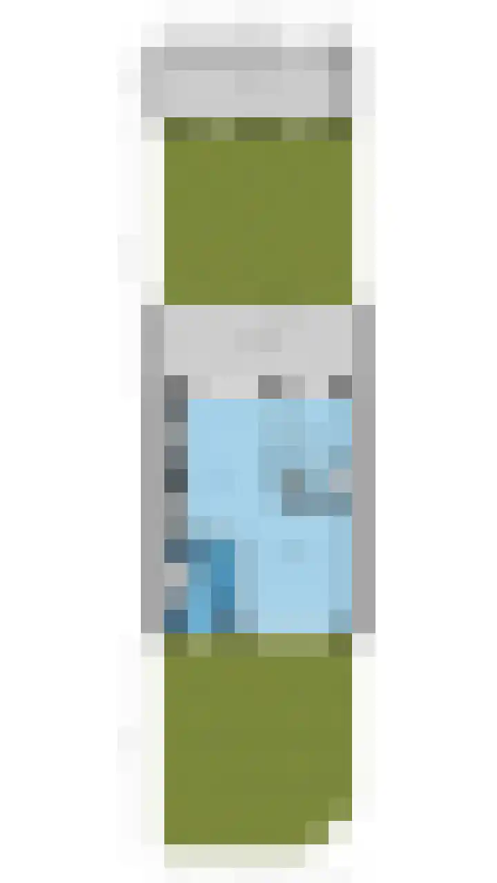 Schelft 7 Reusel thumbnail 63
