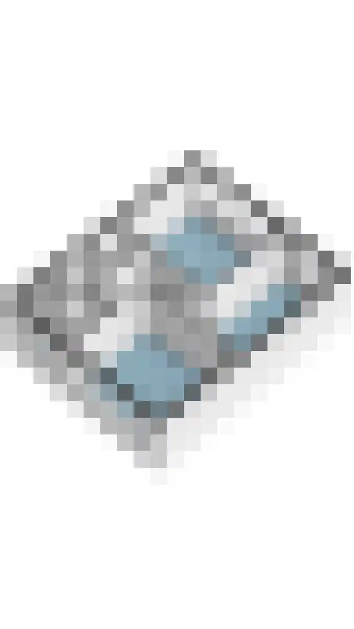 Schelft 7 Reusel thumbnail 67