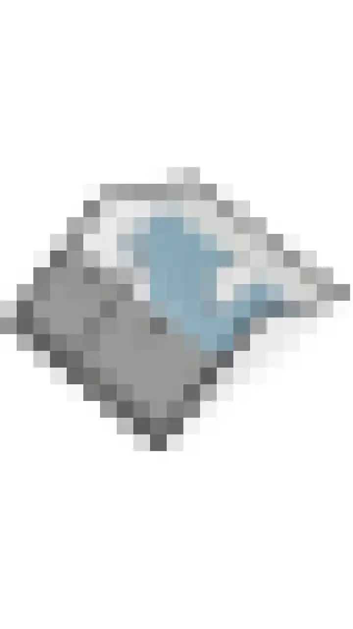 Schelft 7 Reusel thumbnail 69