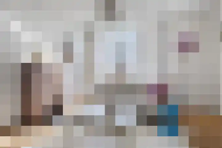 Schelft 7 Reusel thumbnail 7