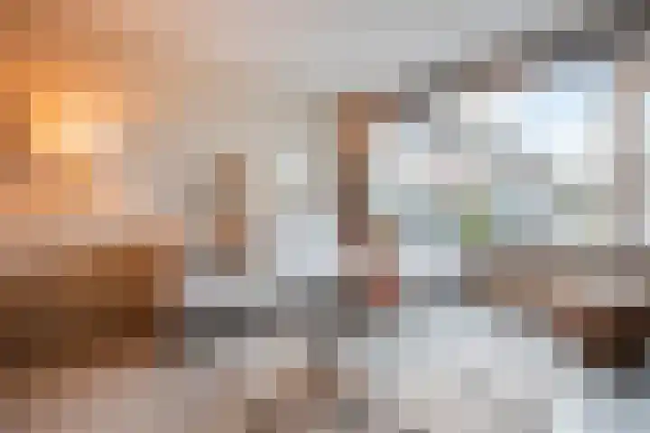 Schelft 7 Reusel thumbnail 7