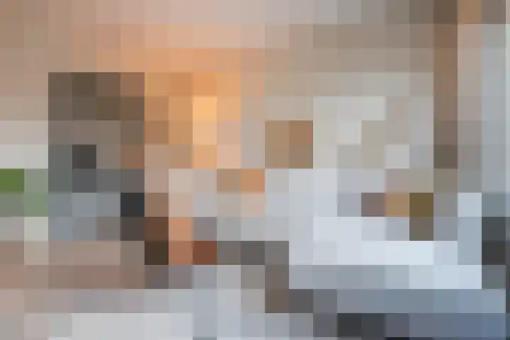 Schelft 7 Reusel thumbnail 8