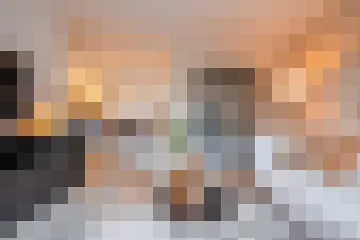 Schelft 7 Reusel thumbnail 9