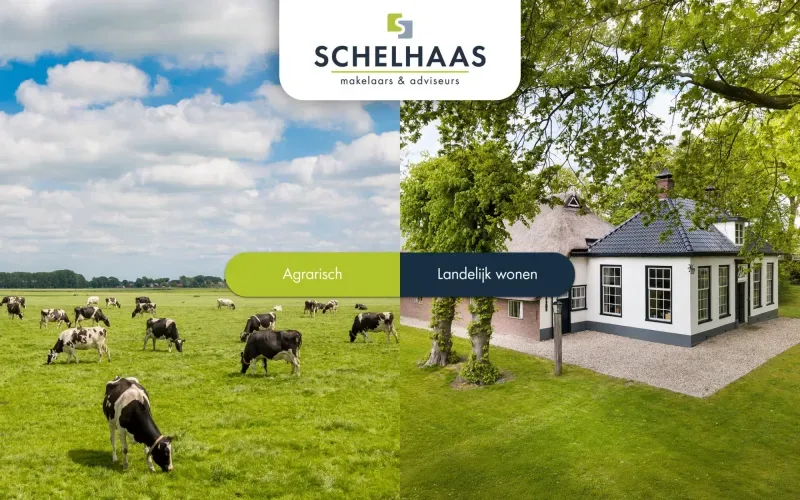 Kantoor foto van Schelhaas Makelaardij b.v.