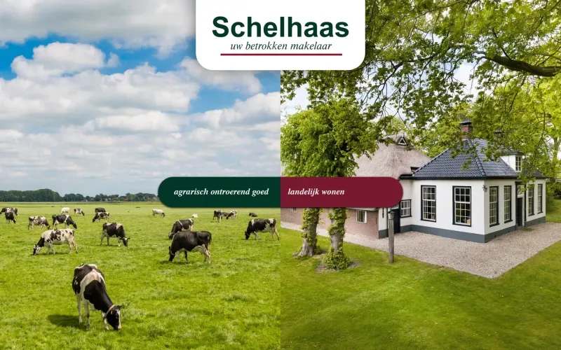 Kantoor foto van Schelhaas Makelaardij b.v.