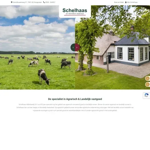 Screenshot van de website van www.schelhaas.com