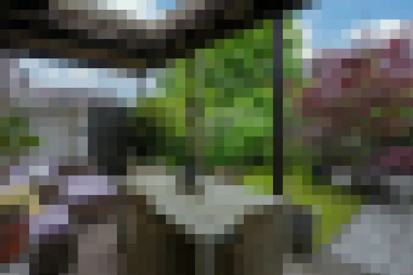 Schelkens-ven 13 Horn thumbnail 23
