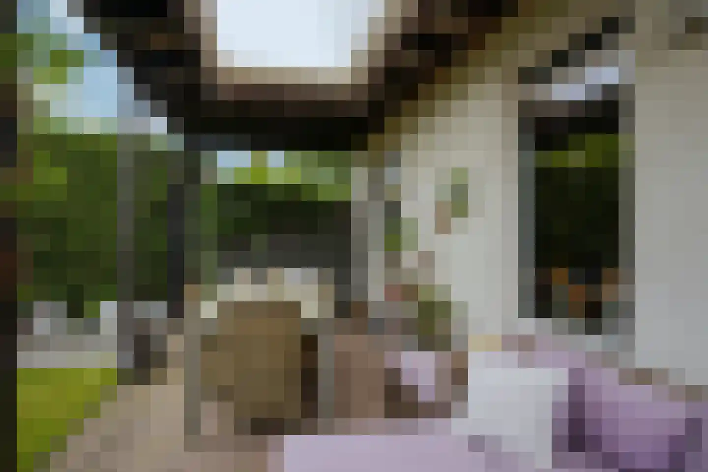 Schelkens-ven 13 Horn thumbnail 24