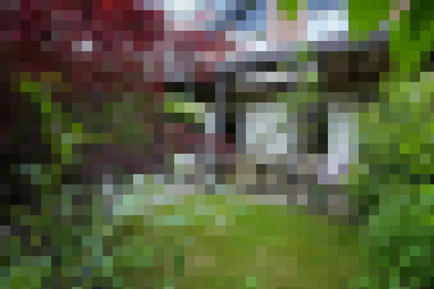 Schelkens-ven 13 Horn thumbnail 26