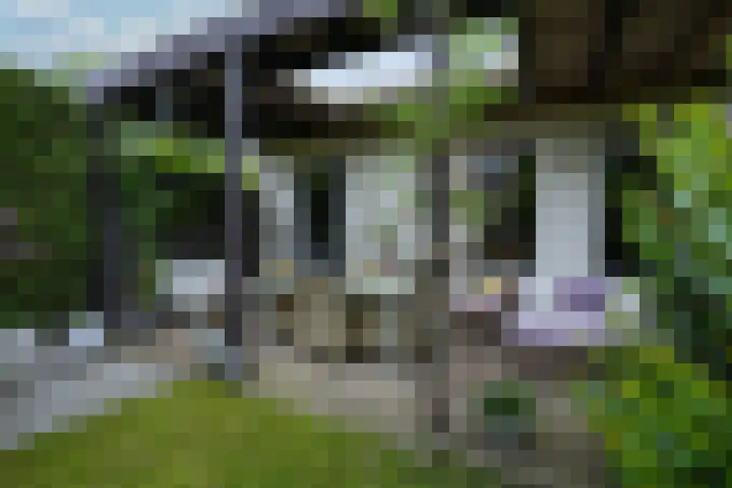 Schelkens-ven 13 Horn thumbnail 27