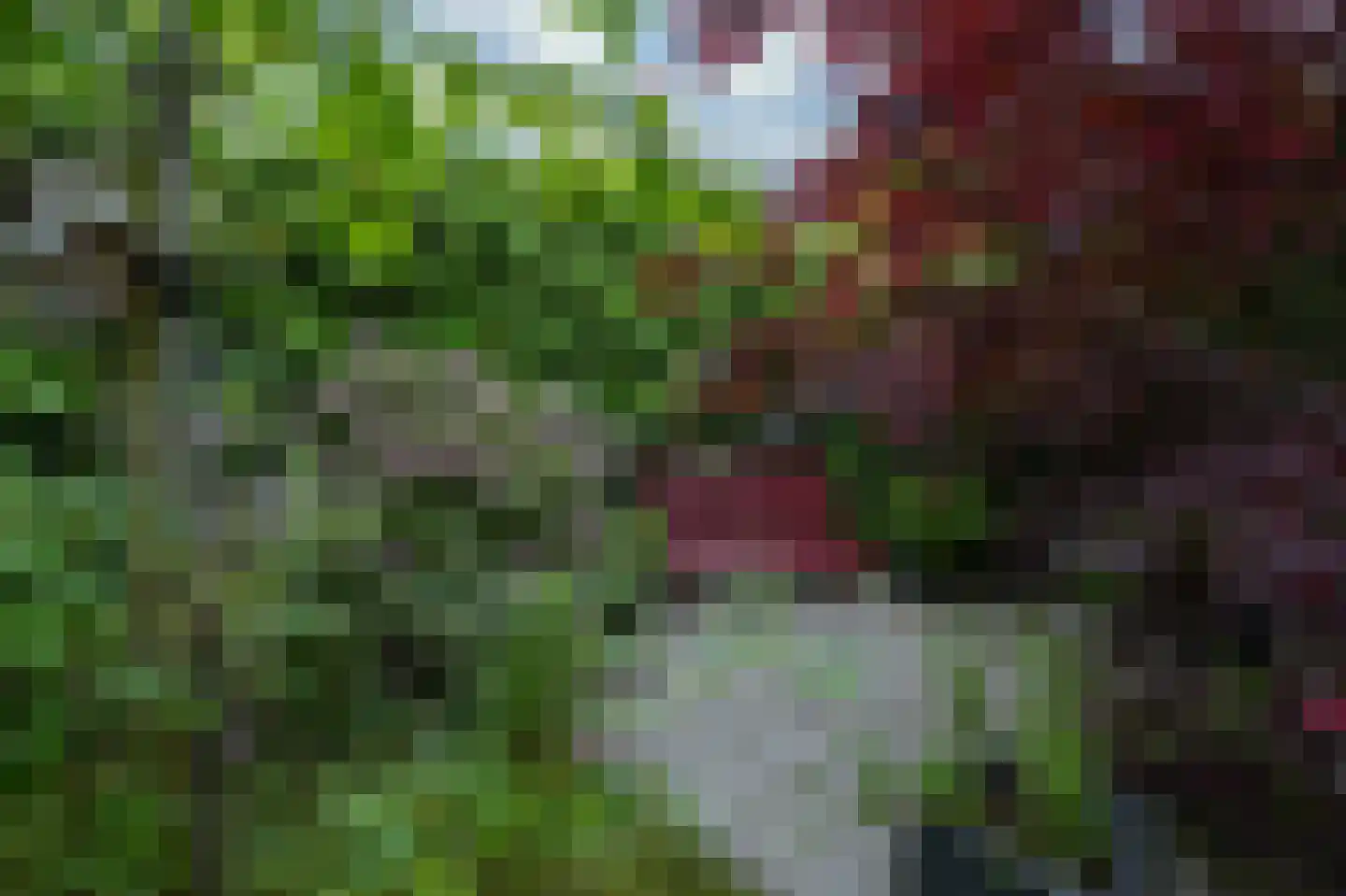 Schelkens-ven 13 Horn thumbnail 28