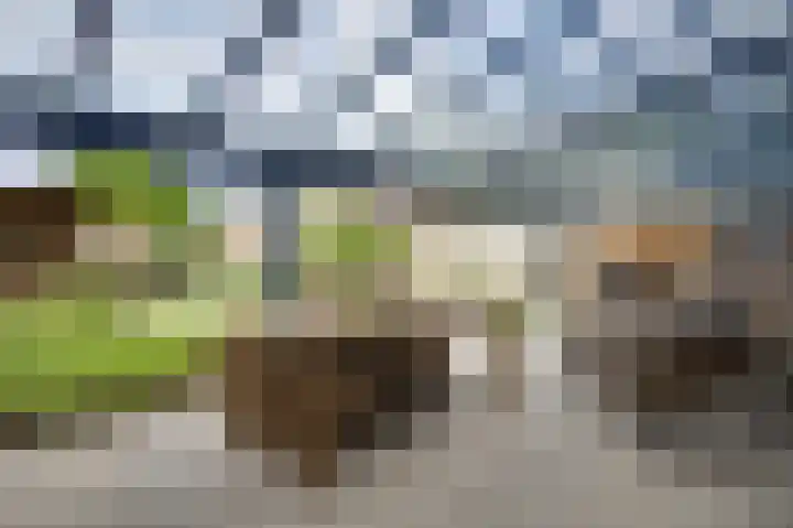 Schelkens-ven 23 Horn thumbnail 18