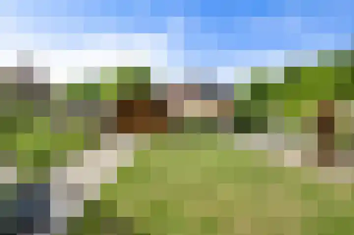 Schelkens-ven 23 Horn thumbnail 20