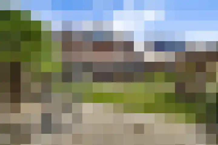 Schelkens-ven 23 Horn thumbnail 21