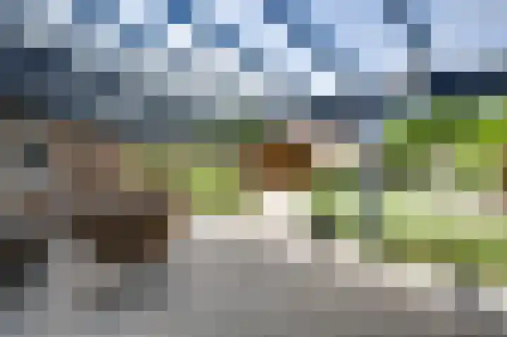 Schelkens-ven 23 Horn thumbnail 34