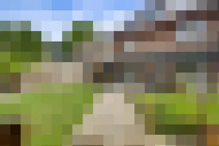Schelkens-ven 23 Horn thumbnail 38