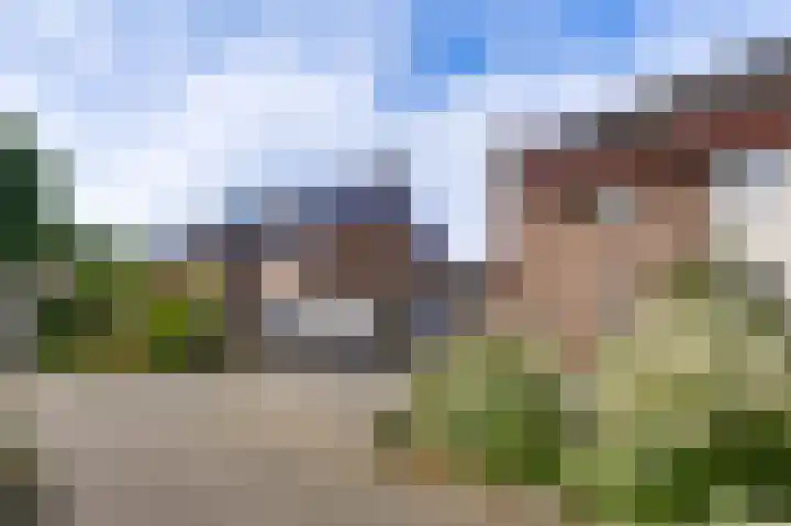 Schelkens-ven 23 Horn thumbnail 4