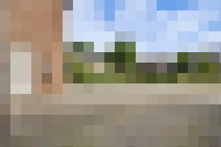 Schelkens-ven 23 Horn thumbnail 40