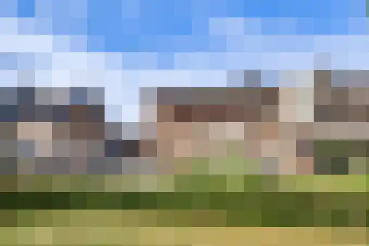 Schelkens-ven 23 Horn thumbnail 5
