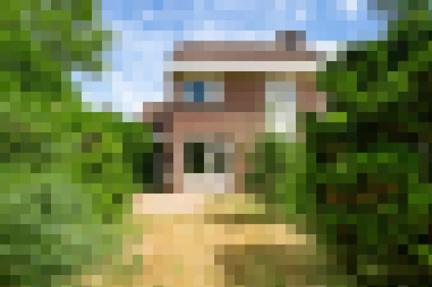 Schelkens-ven 27 Horn thumbnail 22