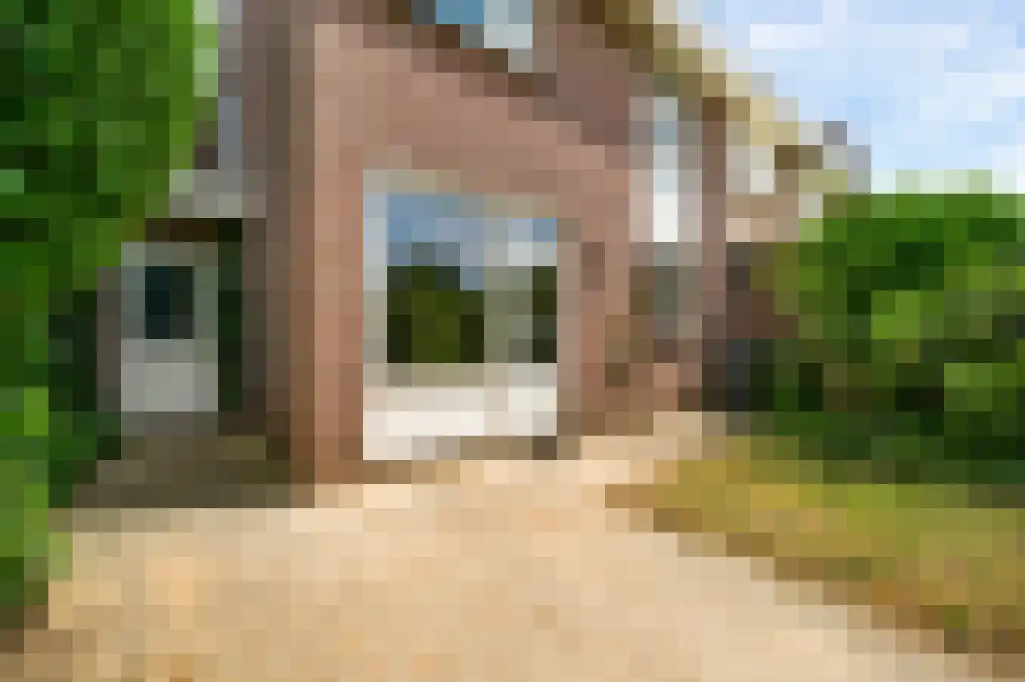 Schelkens-ven 27 Horn thumbnail 23