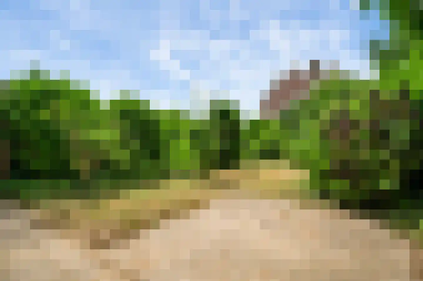 Schelkens-ven 27 Horn thumbnail 24