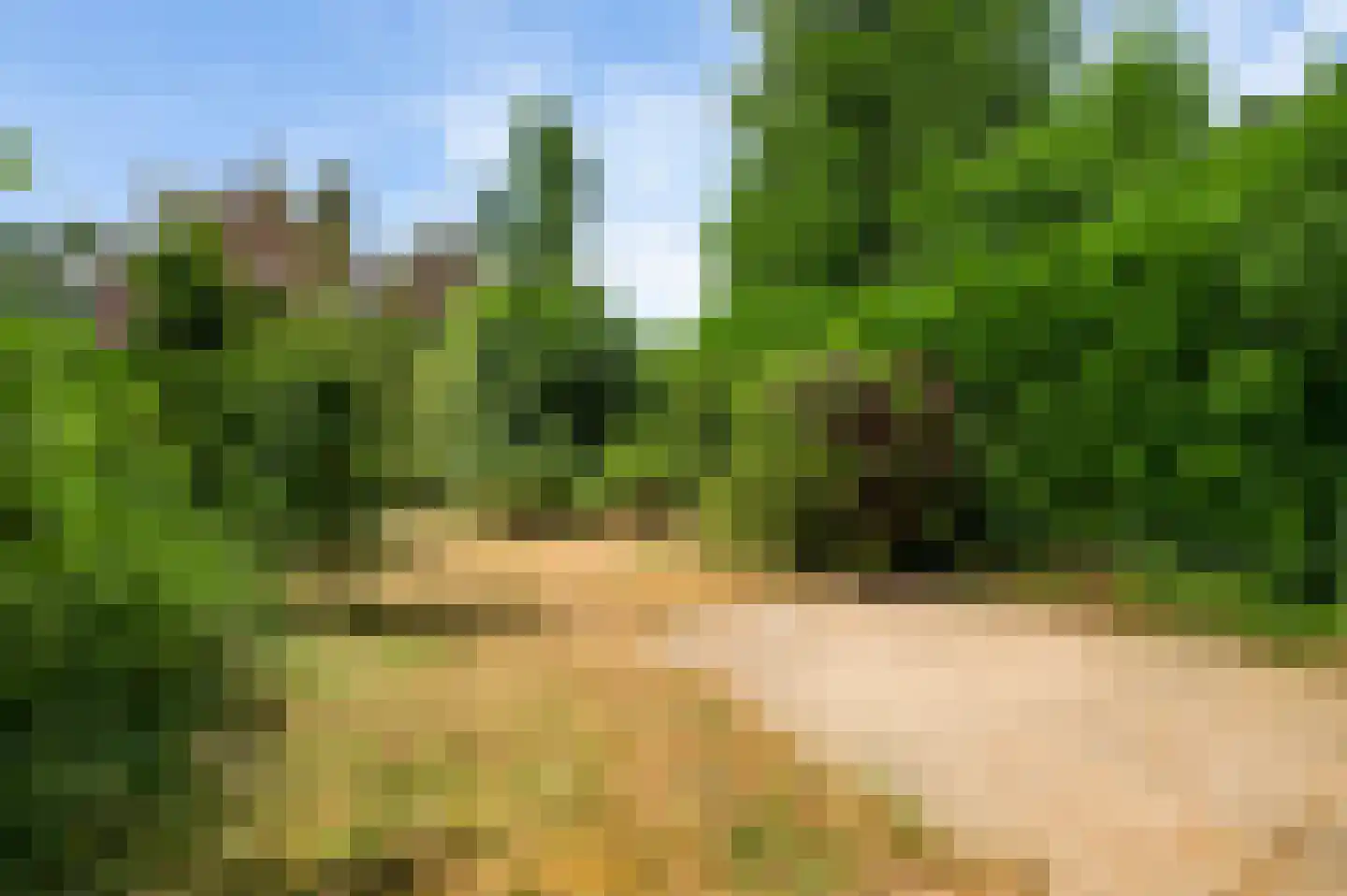 Schelkens-ven 27 Horn thumbnail 25
