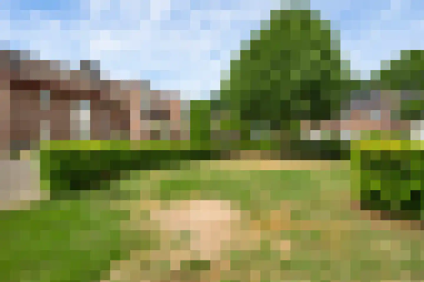 Schelkens-ven 27 Horn thumbnail 28