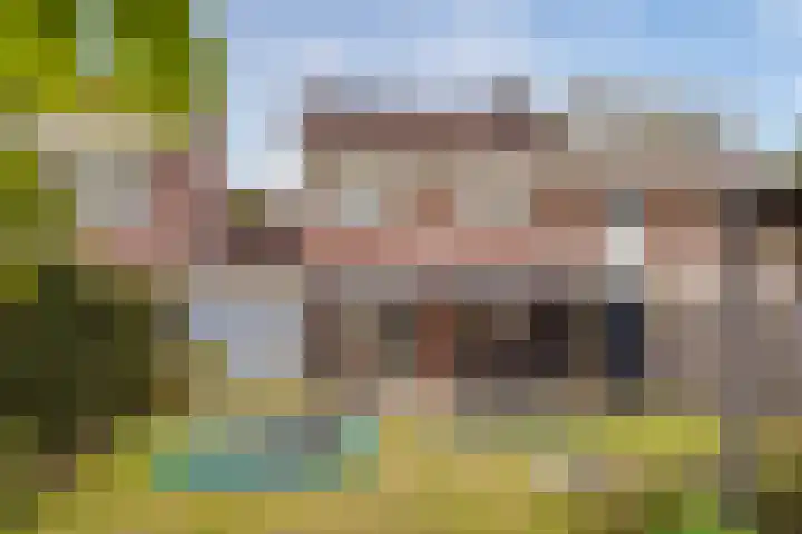 Schelkens-ven 31 Horn thumbnail 38
