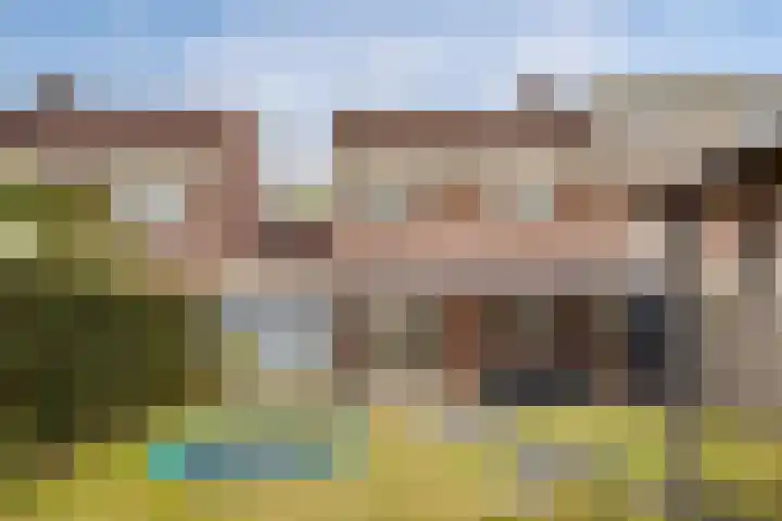 Schelkens-ven 31 Horn thumbnail 39
