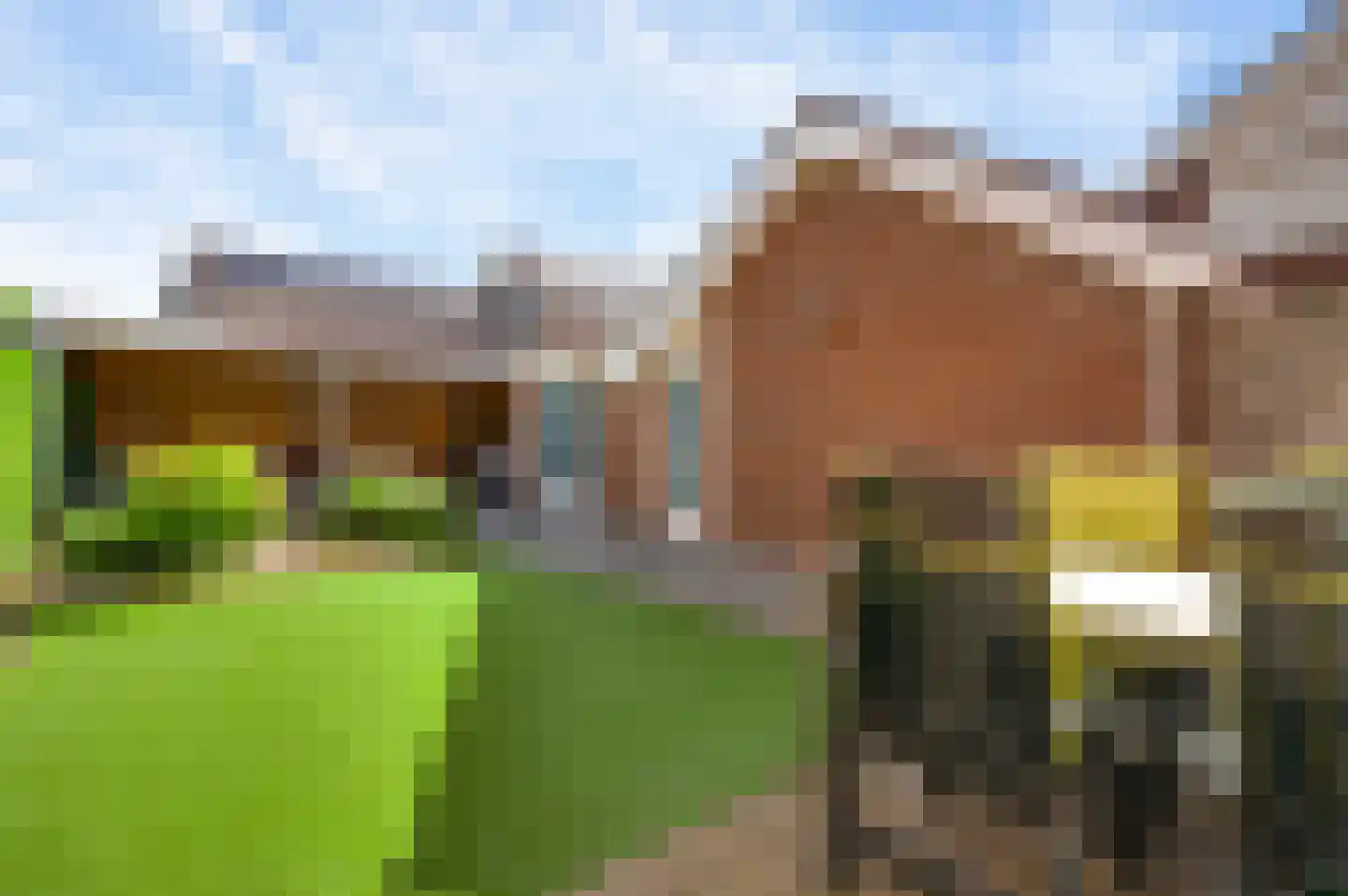 Schelkens-ven 5 Horn thumbnail 32