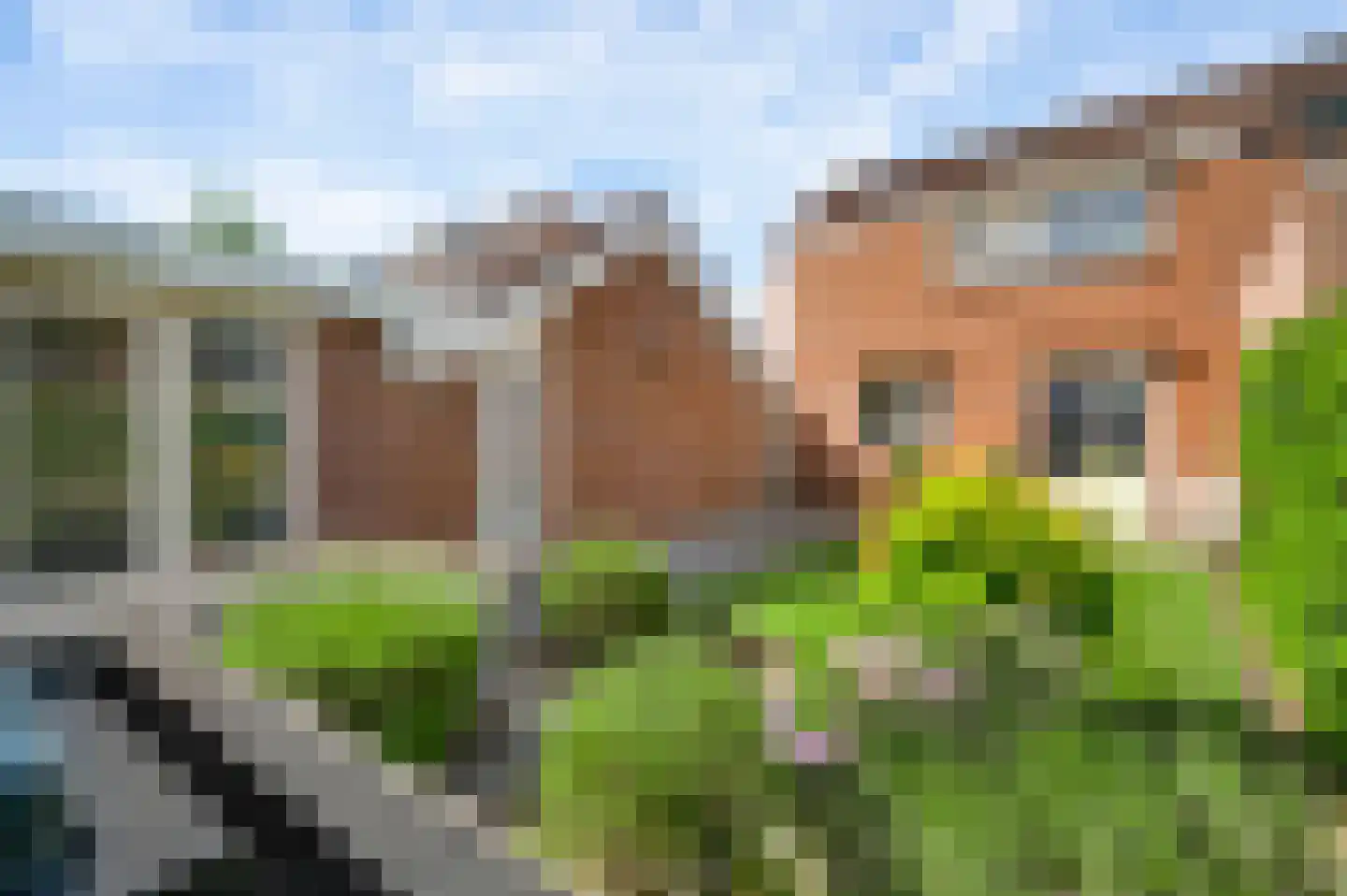 Schelkens-ven 5 Horn thumbnail 35