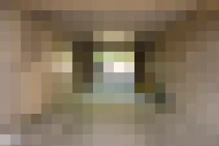 Schellardweg 25 Oosterbeek thumbnail 53