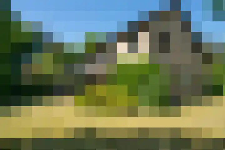 Schellardweg 25 Oosterbeek thumbnail 65