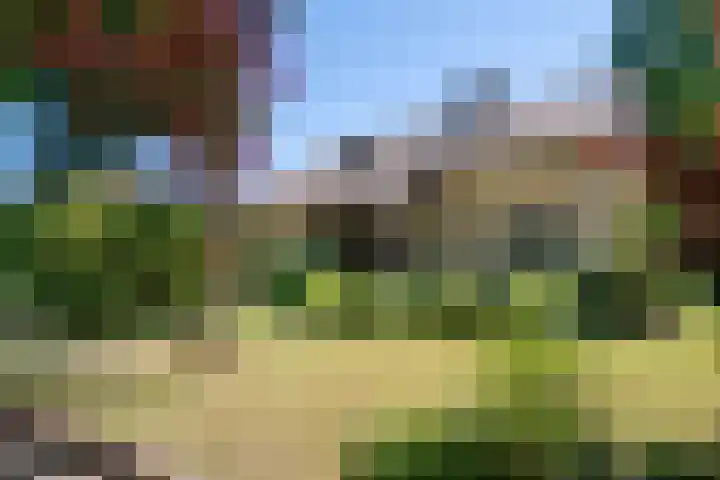 Schellardweg 25 Oosterbeek thumbnail 69
