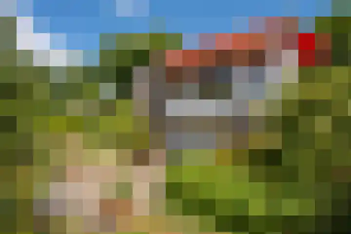 Schellardweg 31 Oosterbeek thumbnail 48