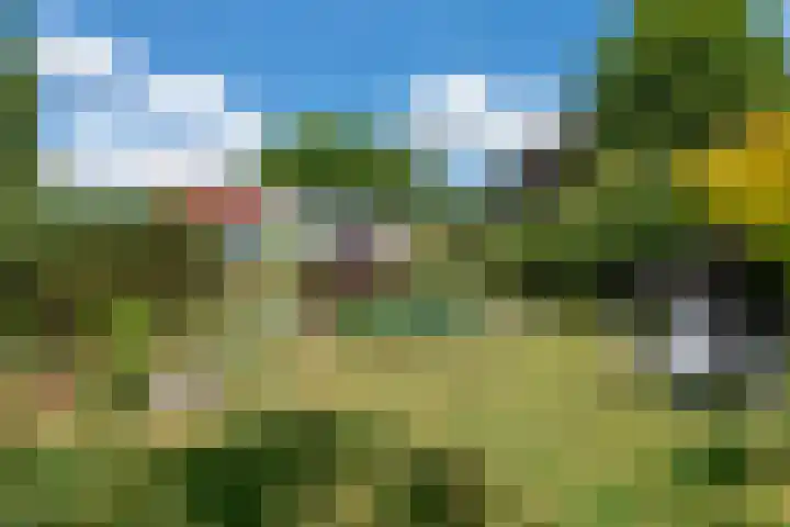 Schellardweg 31 Oosterbeek thumbnail 49