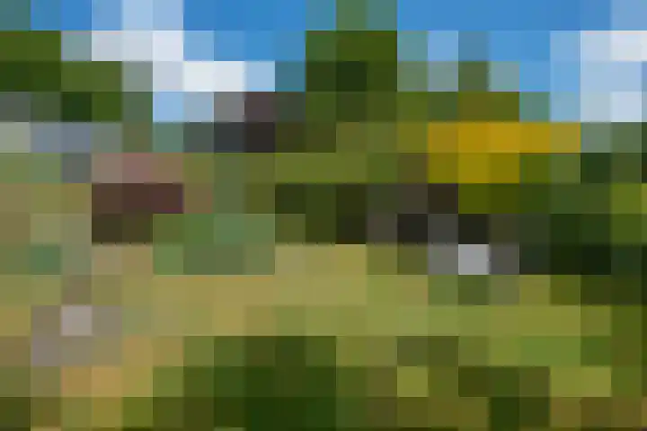 Schellardweg 31 Oosterbeek thumbnail 51