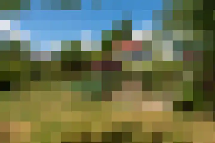 Schellardweg 31 Oosterbeek thumbnail 52