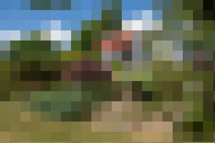 Schellardweg 31 Oosterbeek thumbnail 53